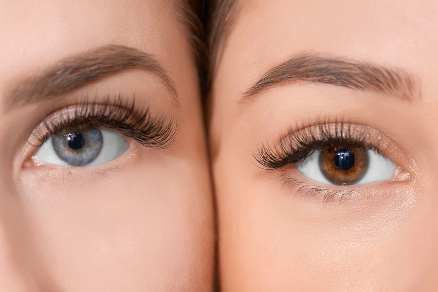 brow-course
